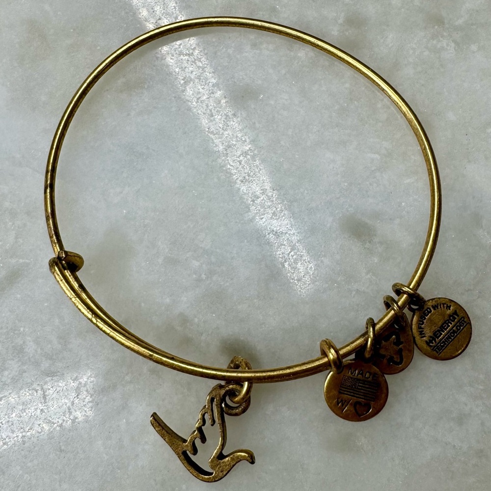 Alex and Ani gold metal Dove bangle bracelet.